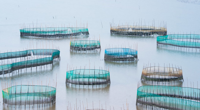 Krabbenfischbank in Xiapu. Foto: Alex Berger (CC BY-NC 2.0)